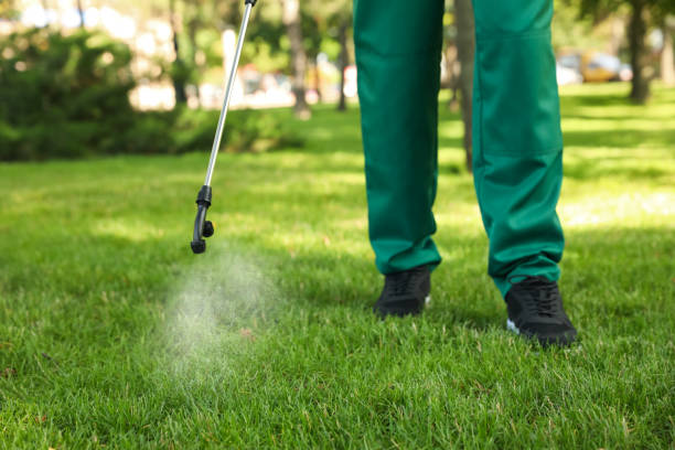 Best Pest Inspection Near Me  in Perry, IA