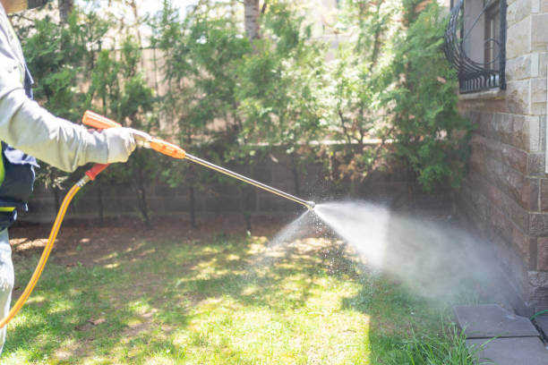 Wasp Removal Services in Perry, IA