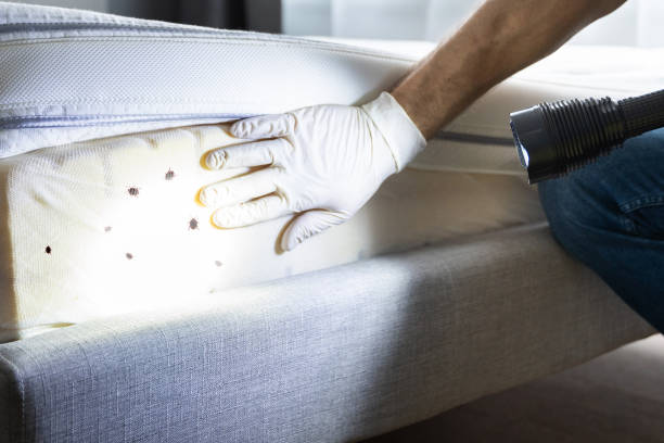 Best Pest Prevention Services  in Perry, IA